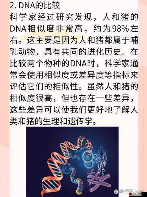 999 猪和人类 DNA 背后的秘密：人类能否与动物杂交？